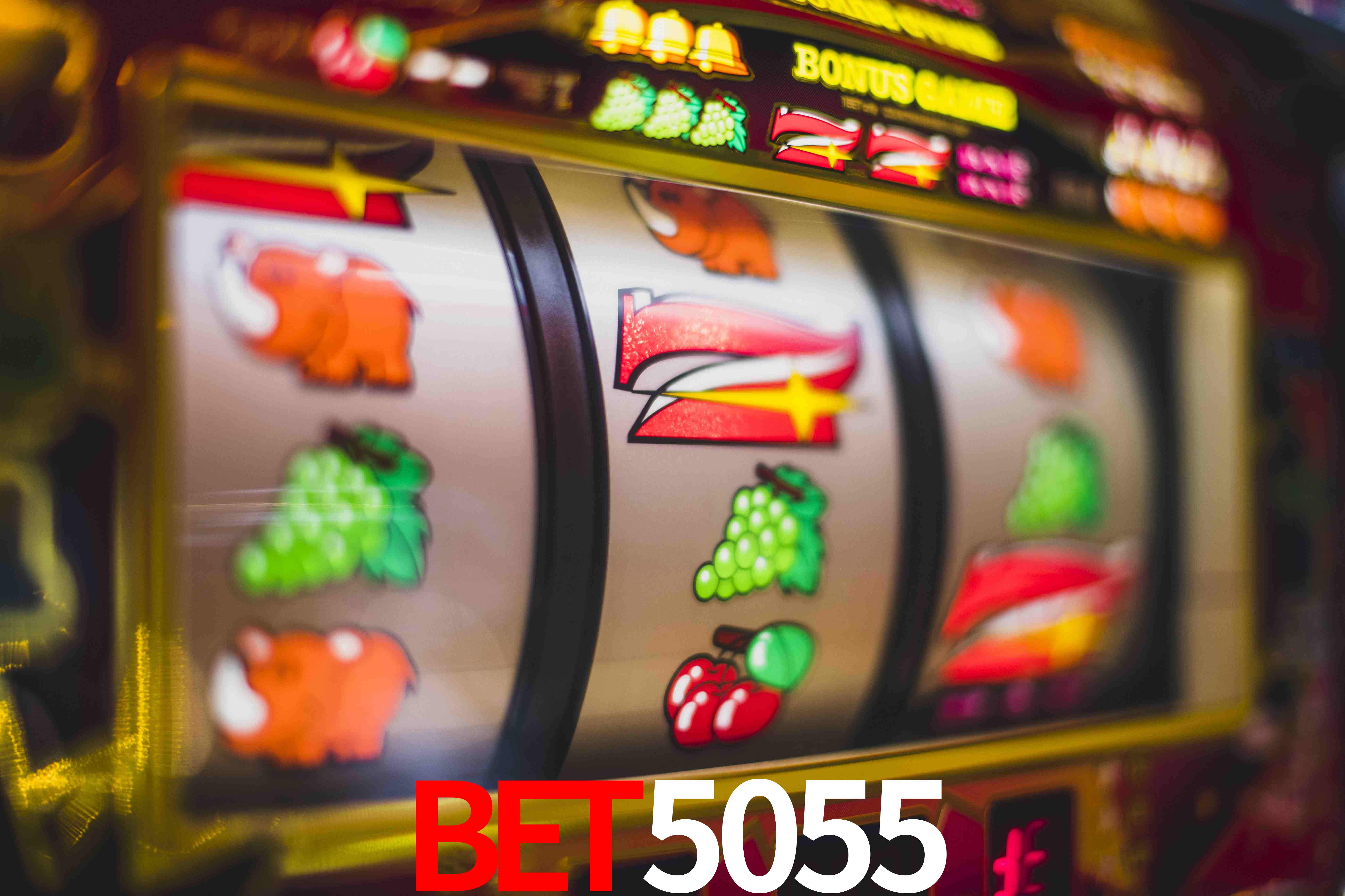 Live Casino Bet5055